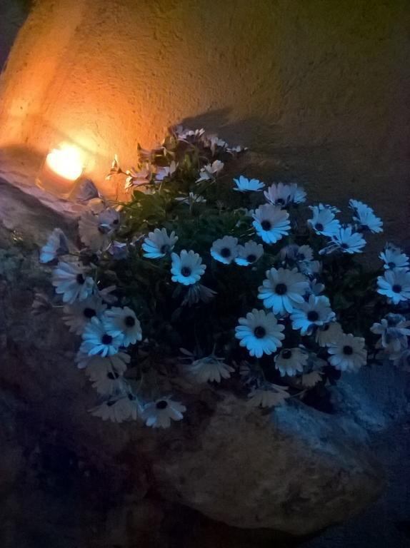 Secret B&B Trapani Luaran gambar